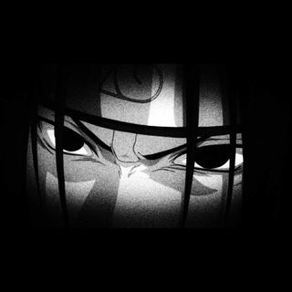 陈泽社会摇歌单