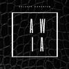 AWIA - Steez and I (feat. Steezo)