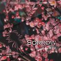 Sorrow