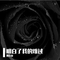 轨迹的音乐是最棒的