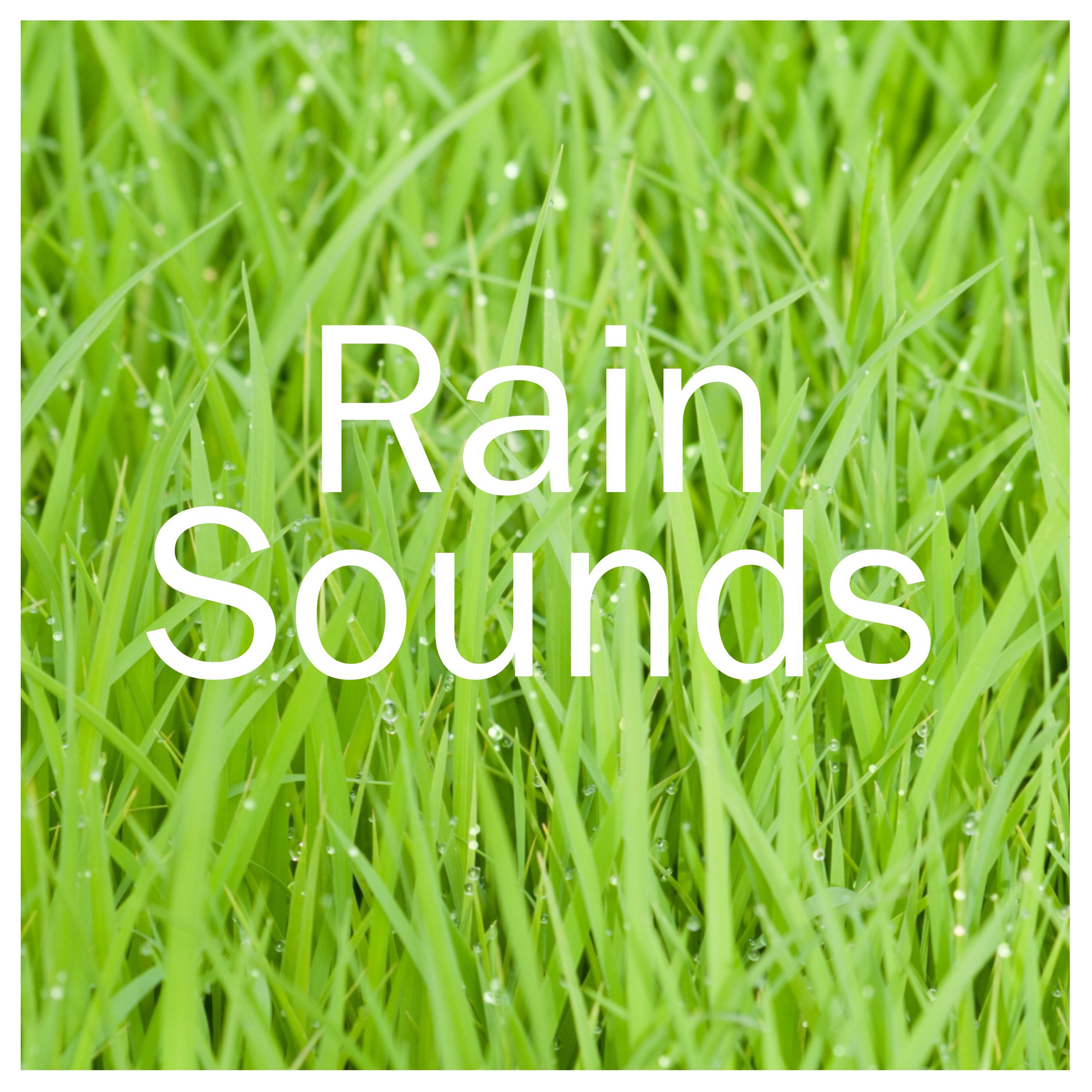 16 Soothing Rain Sounds for a Peaceful Nights Sleep专辑