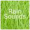 16 Soothing Rain Sounds for a Peaceful Nights Sleep专辑