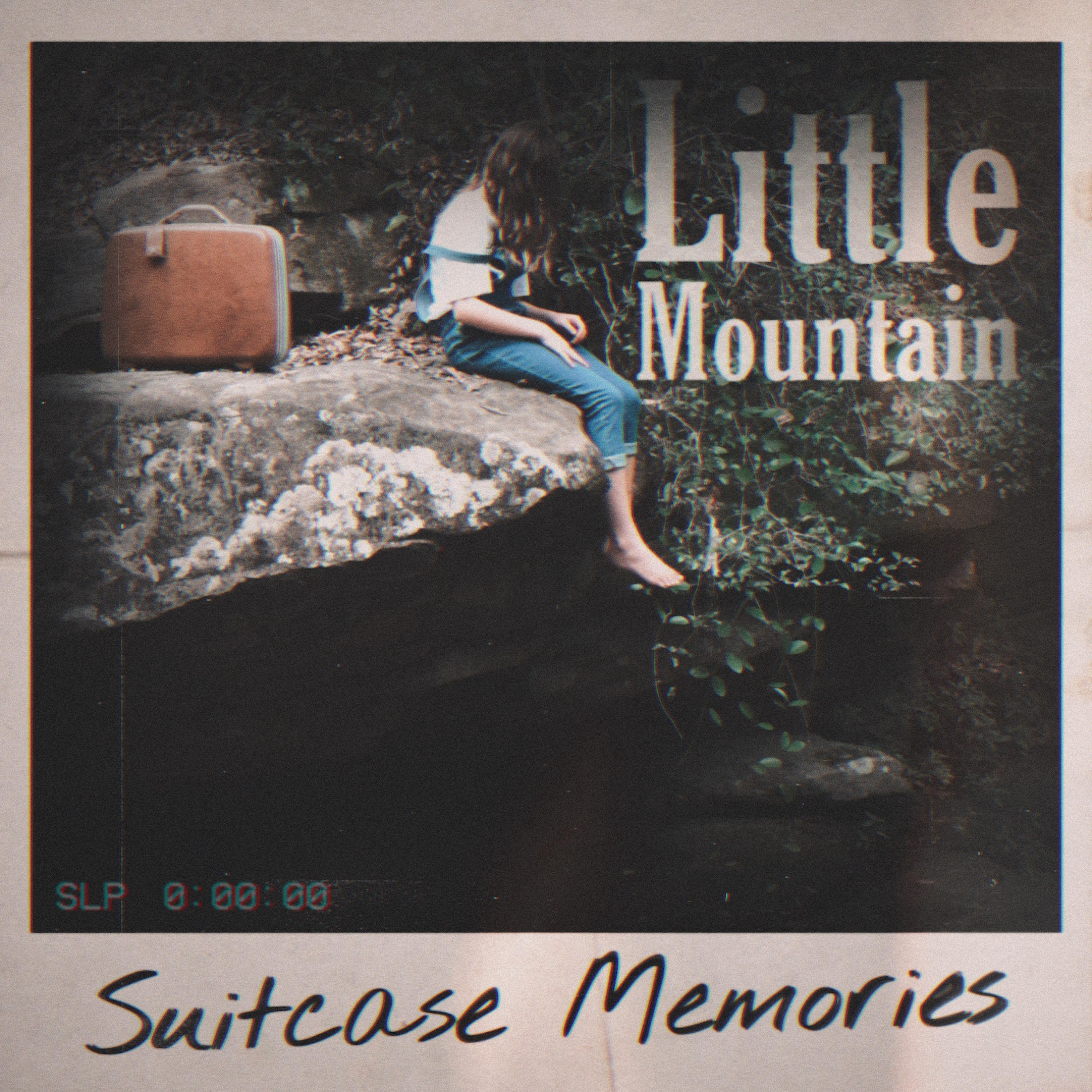 Suitcase Memories