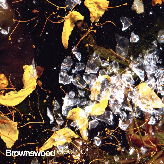 Brownswood Electr*c 4