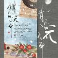 倩音流年