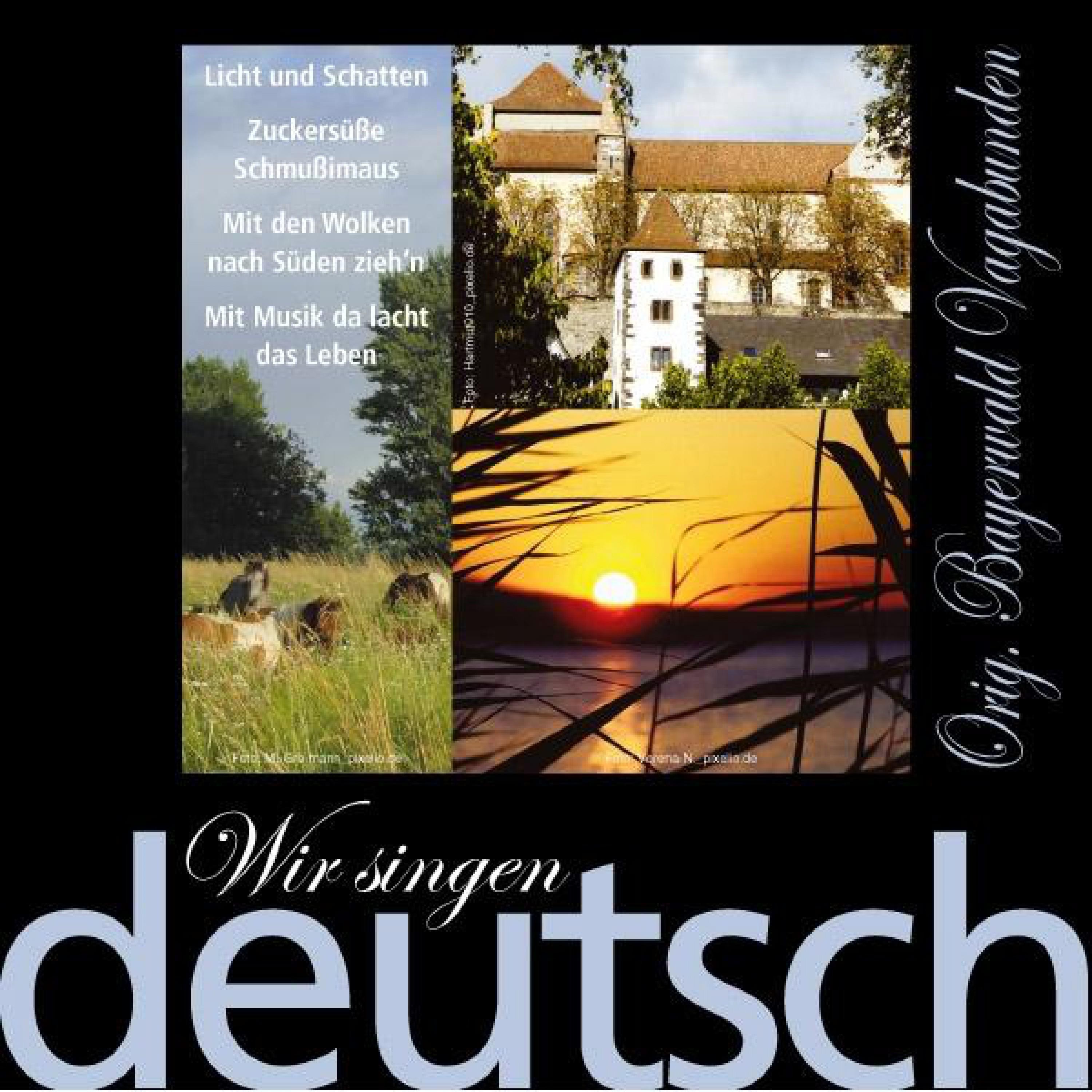 Wir singen deutsch - Licht und Schatten
