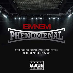 Phenomenal - Eminem (karaoke) 带和声伴奏 （降4半音）