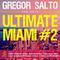 Gregor Salto Presents Ultimate Miami #2专辑