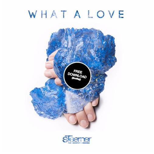 What A Love (Steerner Bootleg)专辑