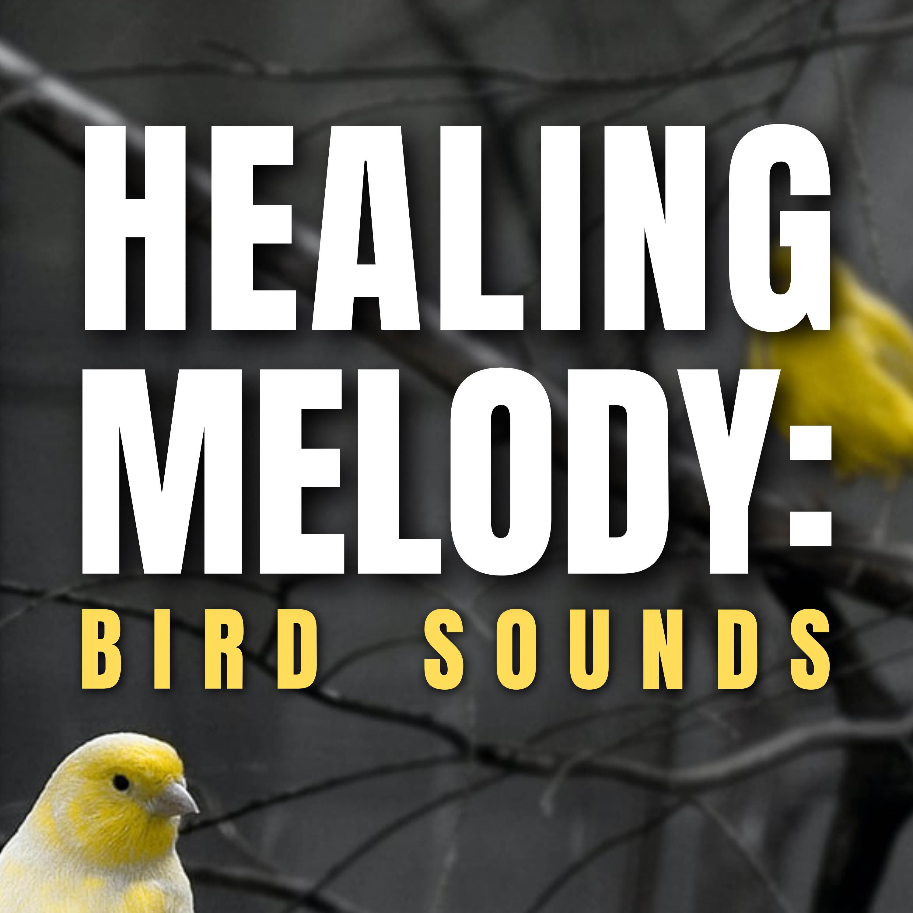 Bird Sounds