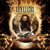 Leviticus - Clear Bowl