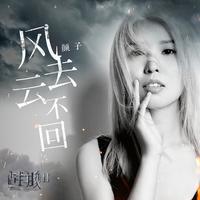 风去云不回 - 颜子超级童颜(原版高音质)