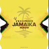 Jamaica (SWERODO Remix)