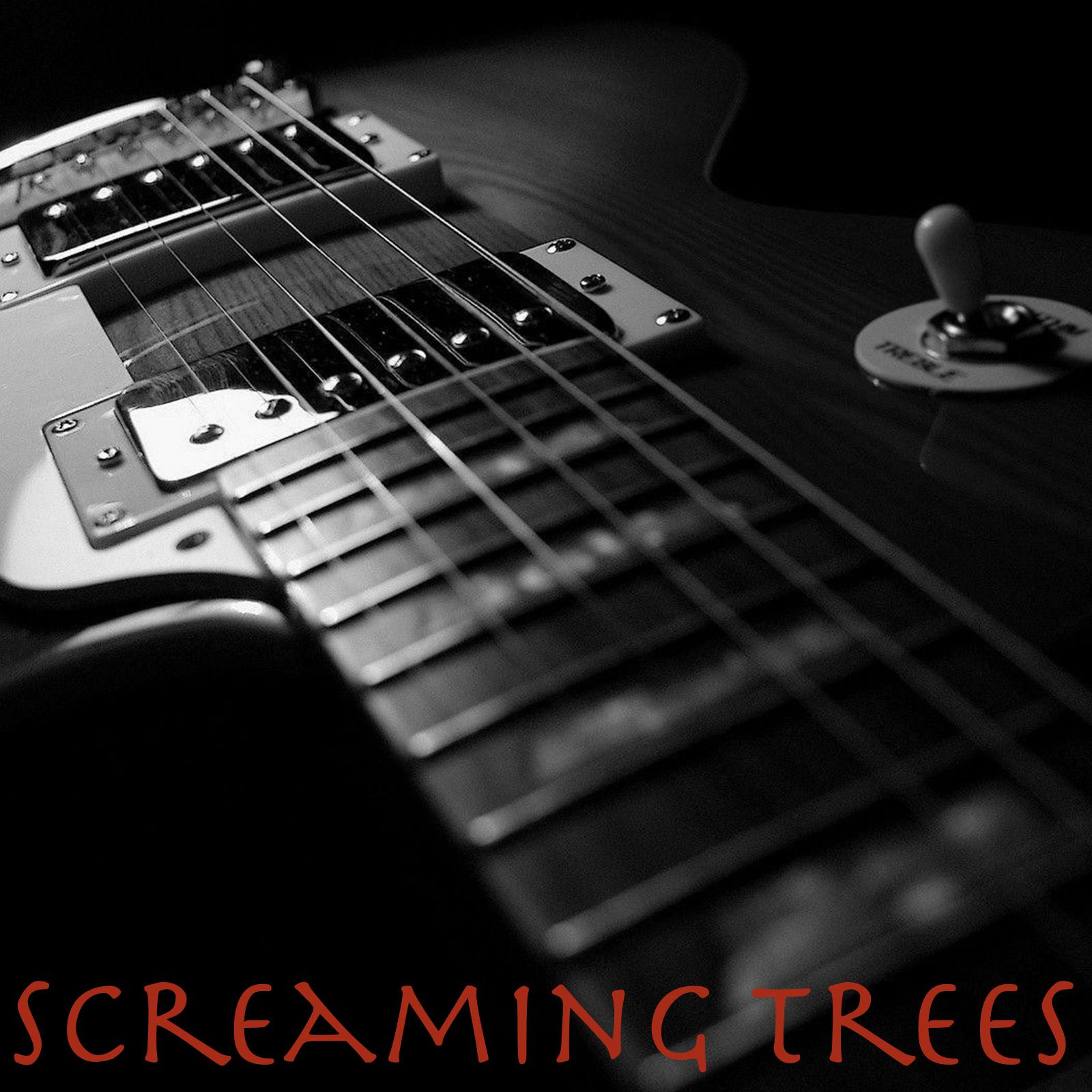 Screaming Trees - Remember The Heroes