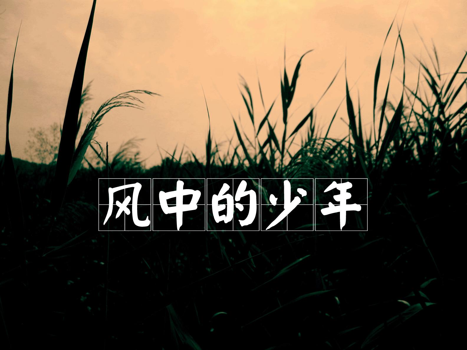 风中的少年