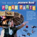 The Best of Polka Party专辑