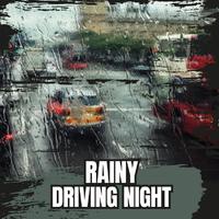 Rainy Driving Night