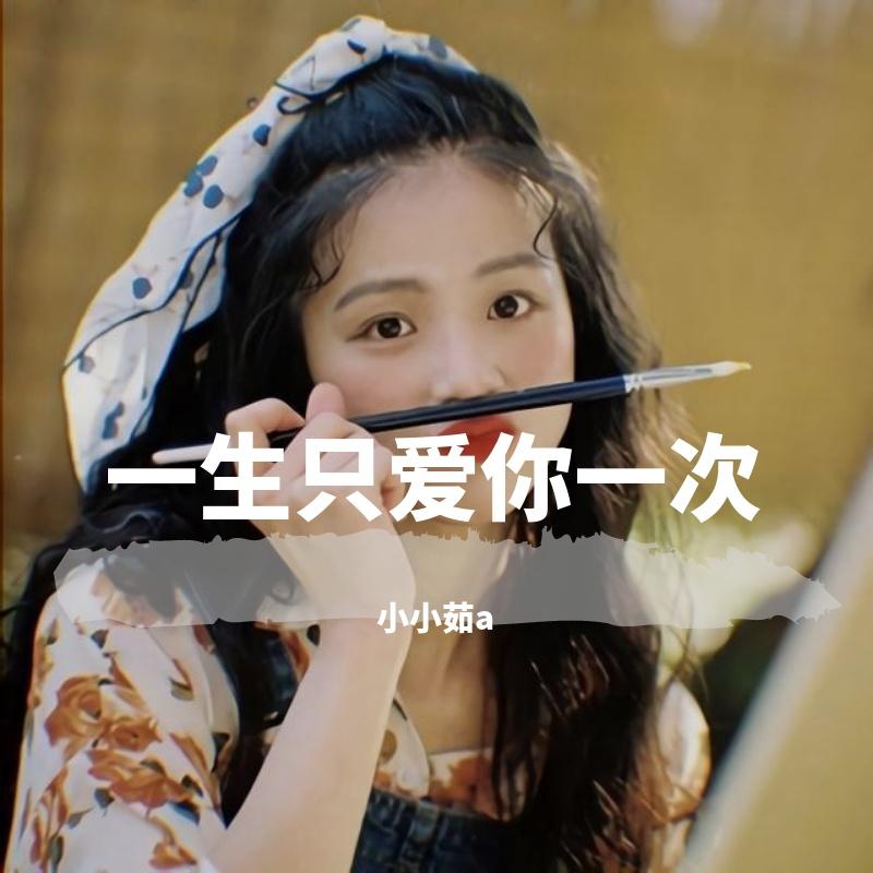 一生只爱你一次