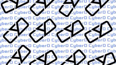 丁成玉CyberD