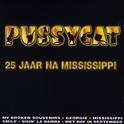 25 Jaar Na Mississippi专辑