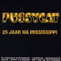 25 Jaar Na Mississippi专辑