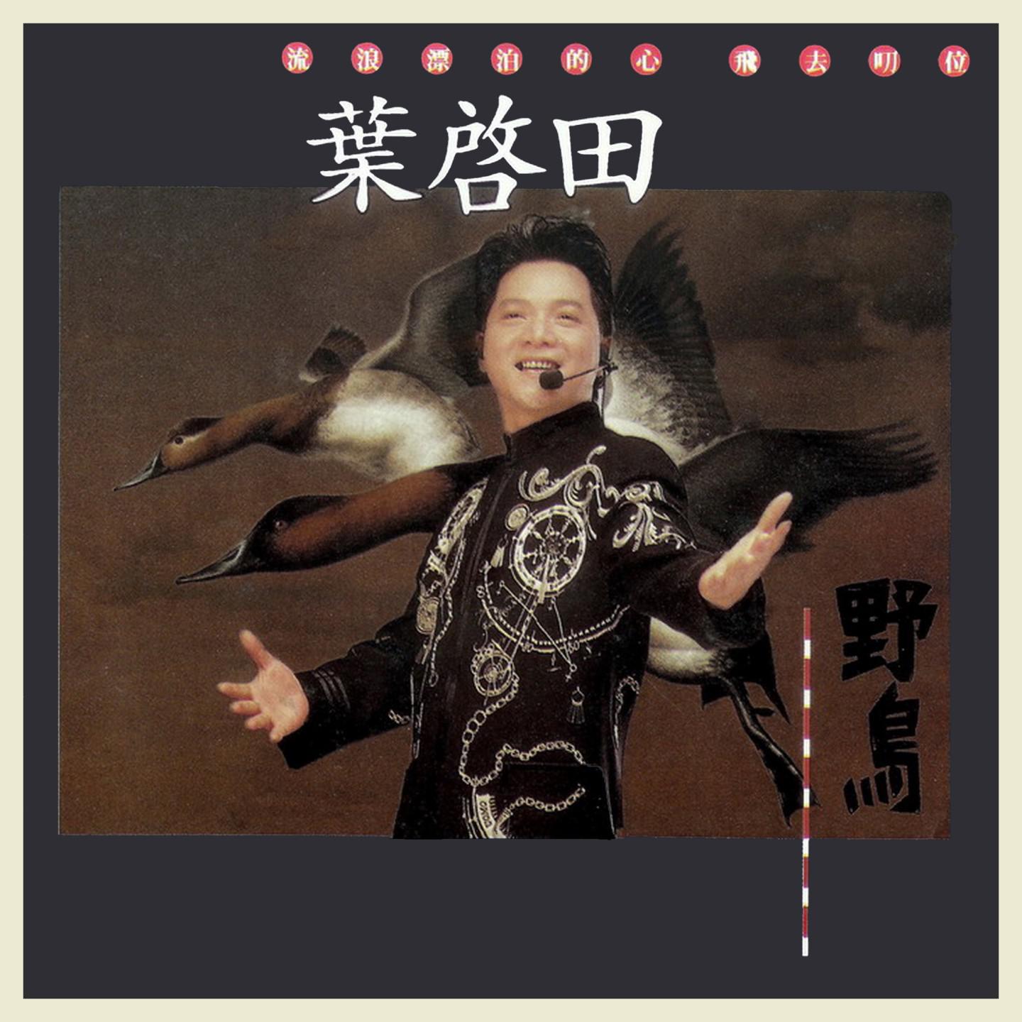 野鸟
