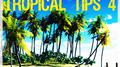 Gregor Salto - Tropical Tips 4专辑