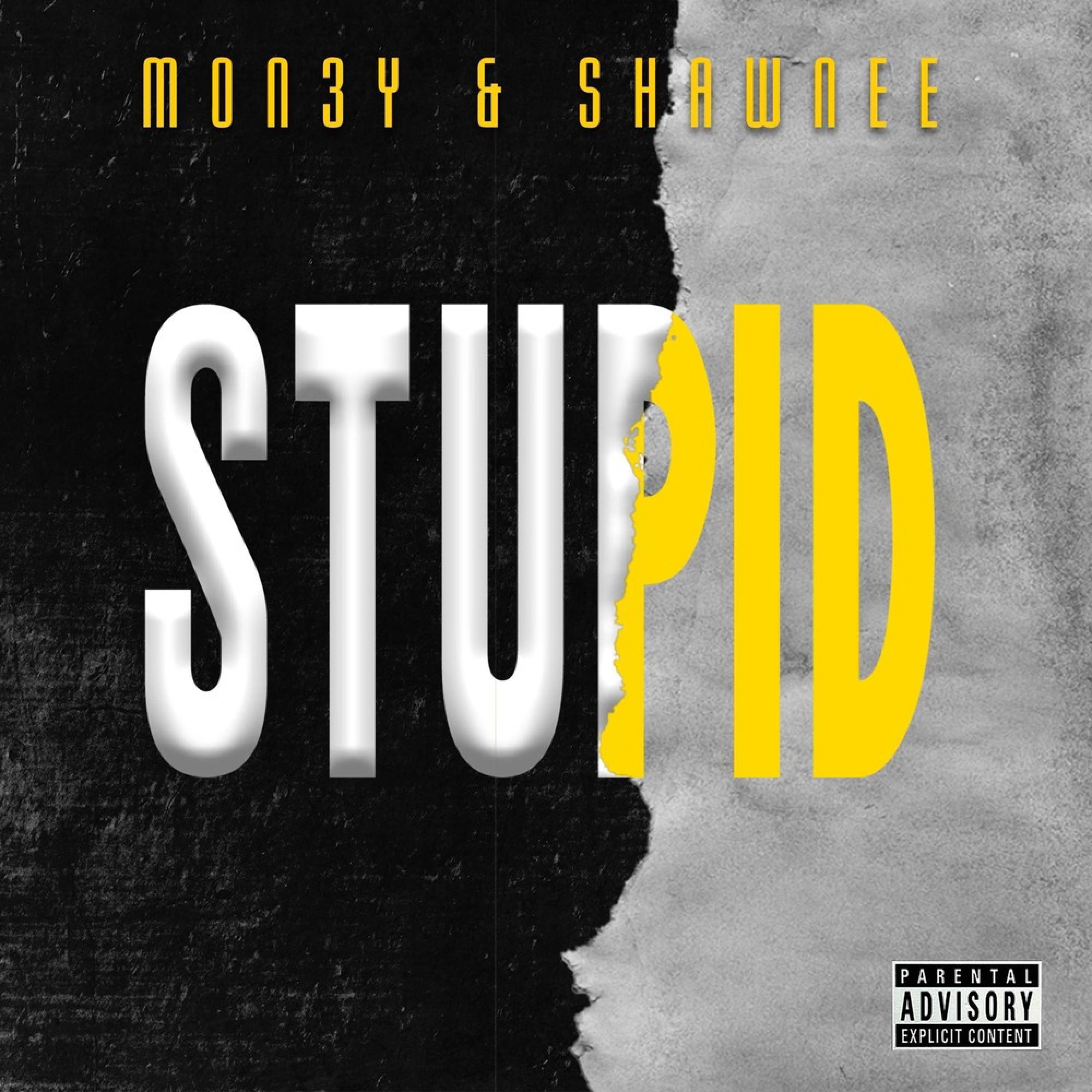 Stupid (feat. Shawnee)