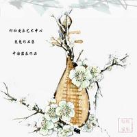 琵琶 - 旱天雷(范奏)