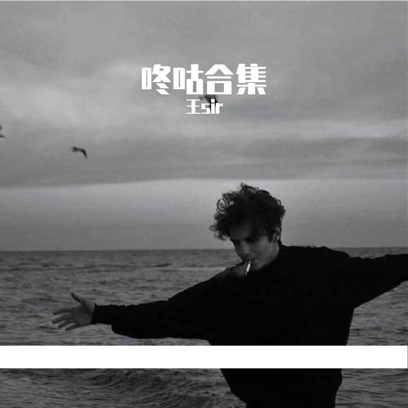 心要让你听见 2024抖音热播版 (王sir remix）