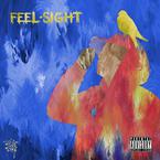 专辑《Feel & Sight》