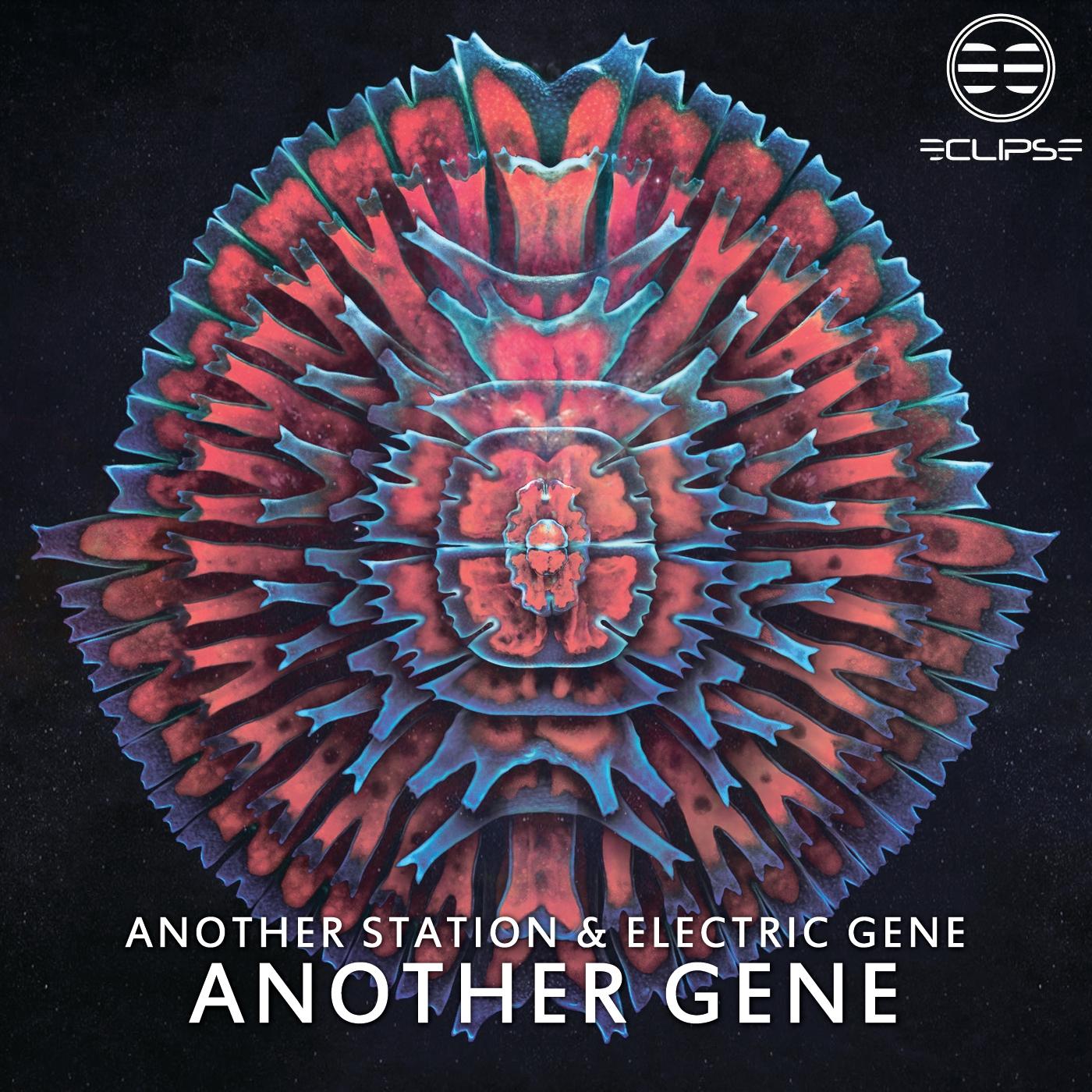 Another Gene