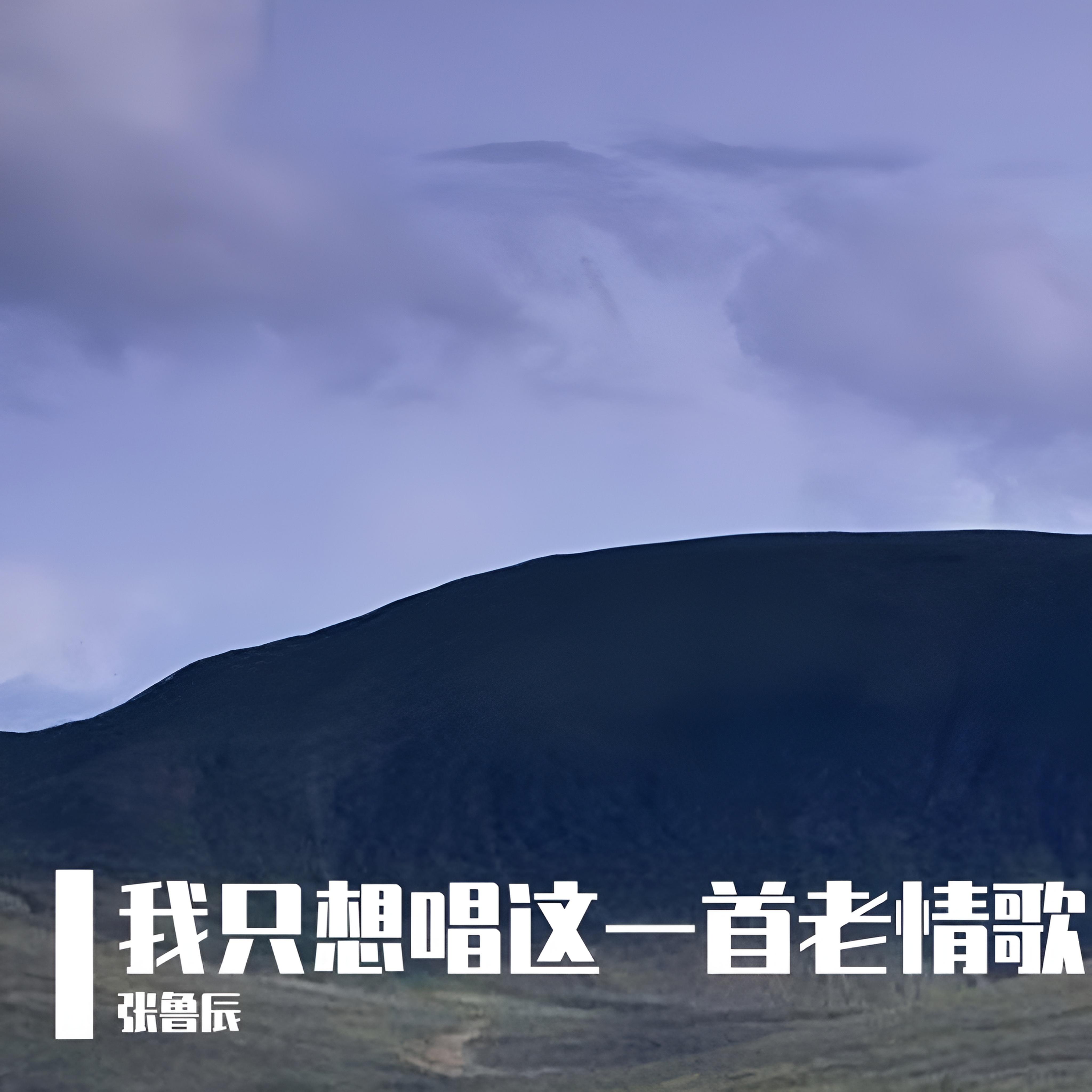 我只想唱这一首老情歌