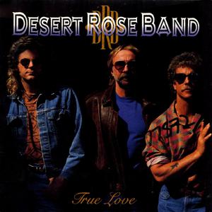 Desert Rose Band - She Don't Love Nobody (Karaoke) 带和声伴奏 （升7半音）