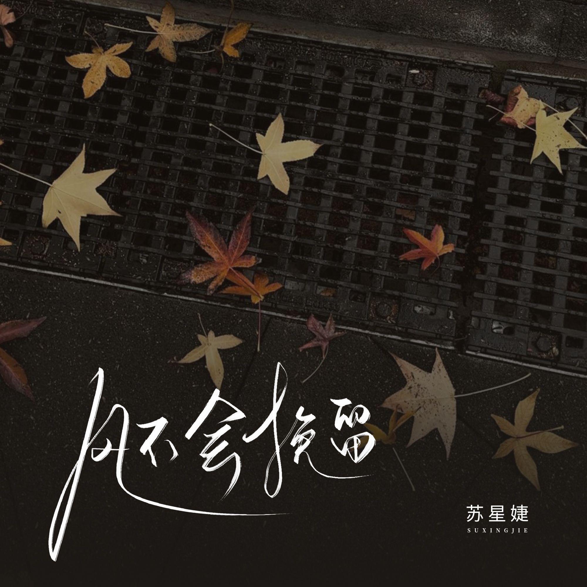 风不会挽留