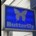 蝶 Butterfly （Prod.Furyl，4_Chords）