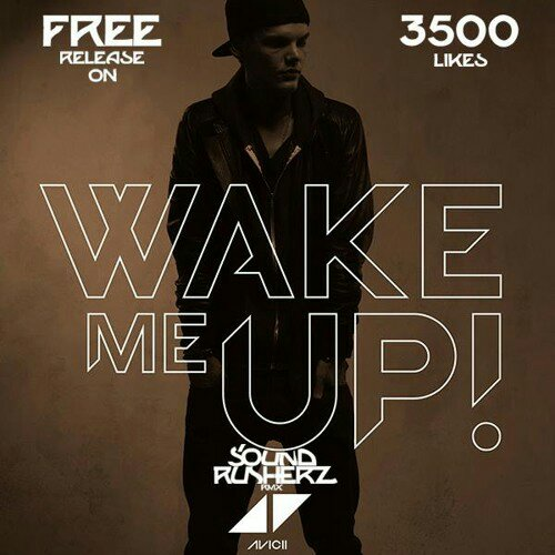 Wake Me Up (Sound Rusherz Remix)