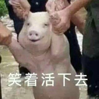 哔哩哔哩跨年晚会歌单