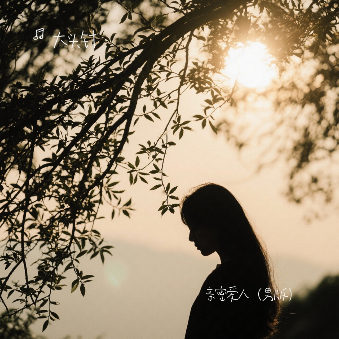 还爱着你（烟嗓版）