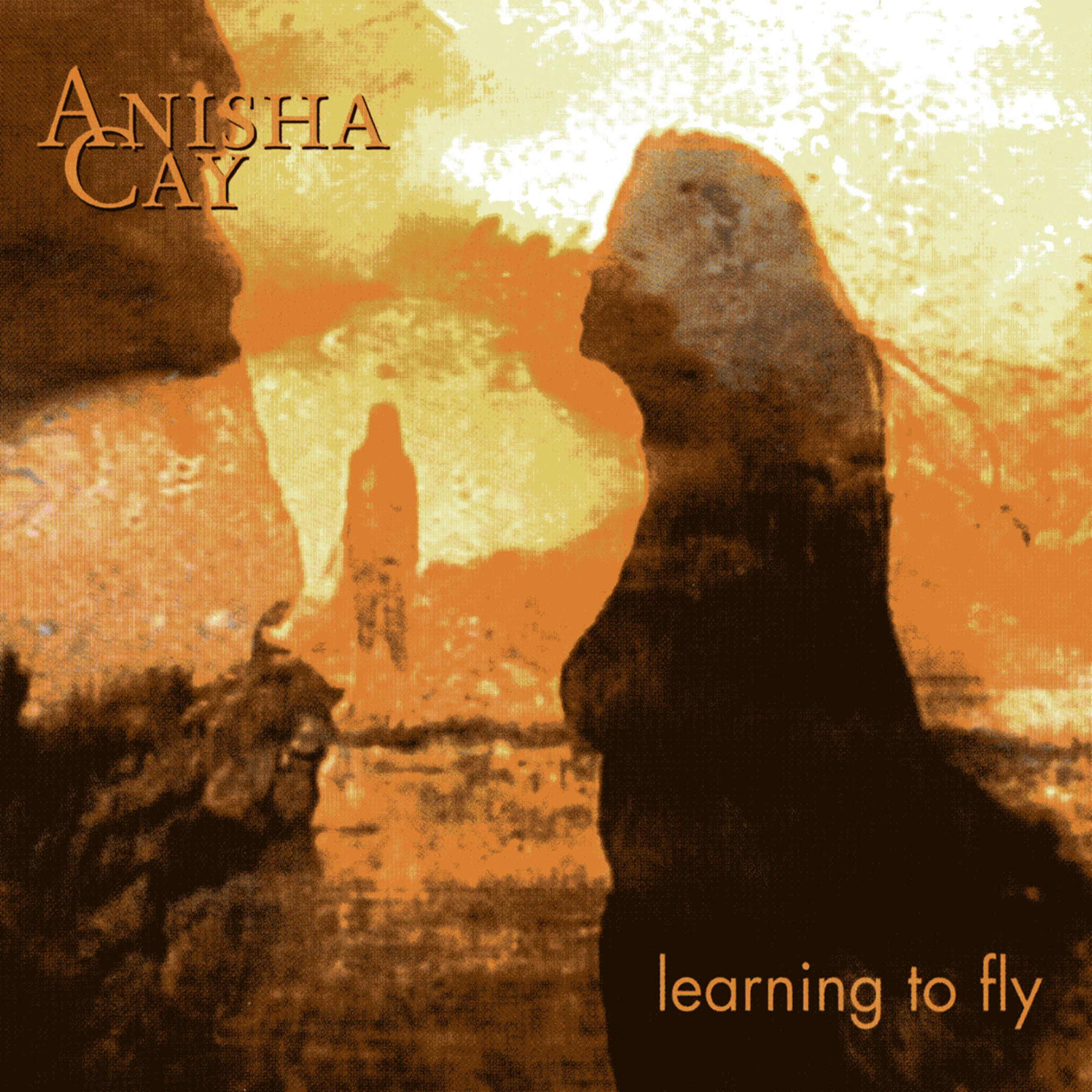 Learning To Fly