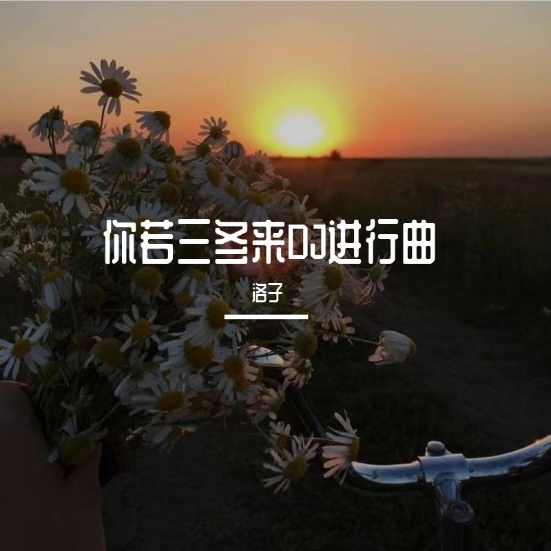 你若三冬来DJ