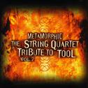 Metamorphic - The String Quartet Tribute To Tool,Vol. 2专辑