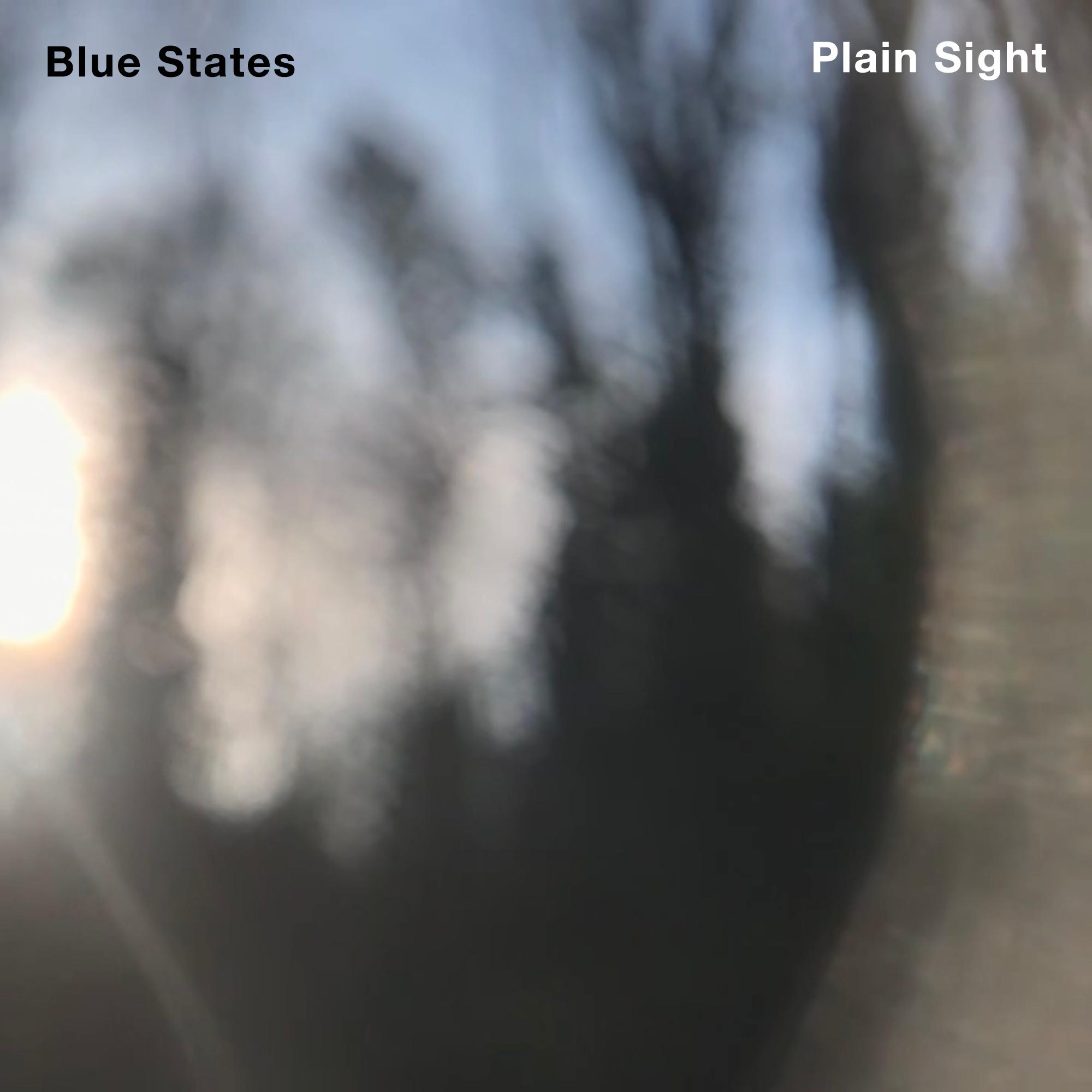 Plain Sight