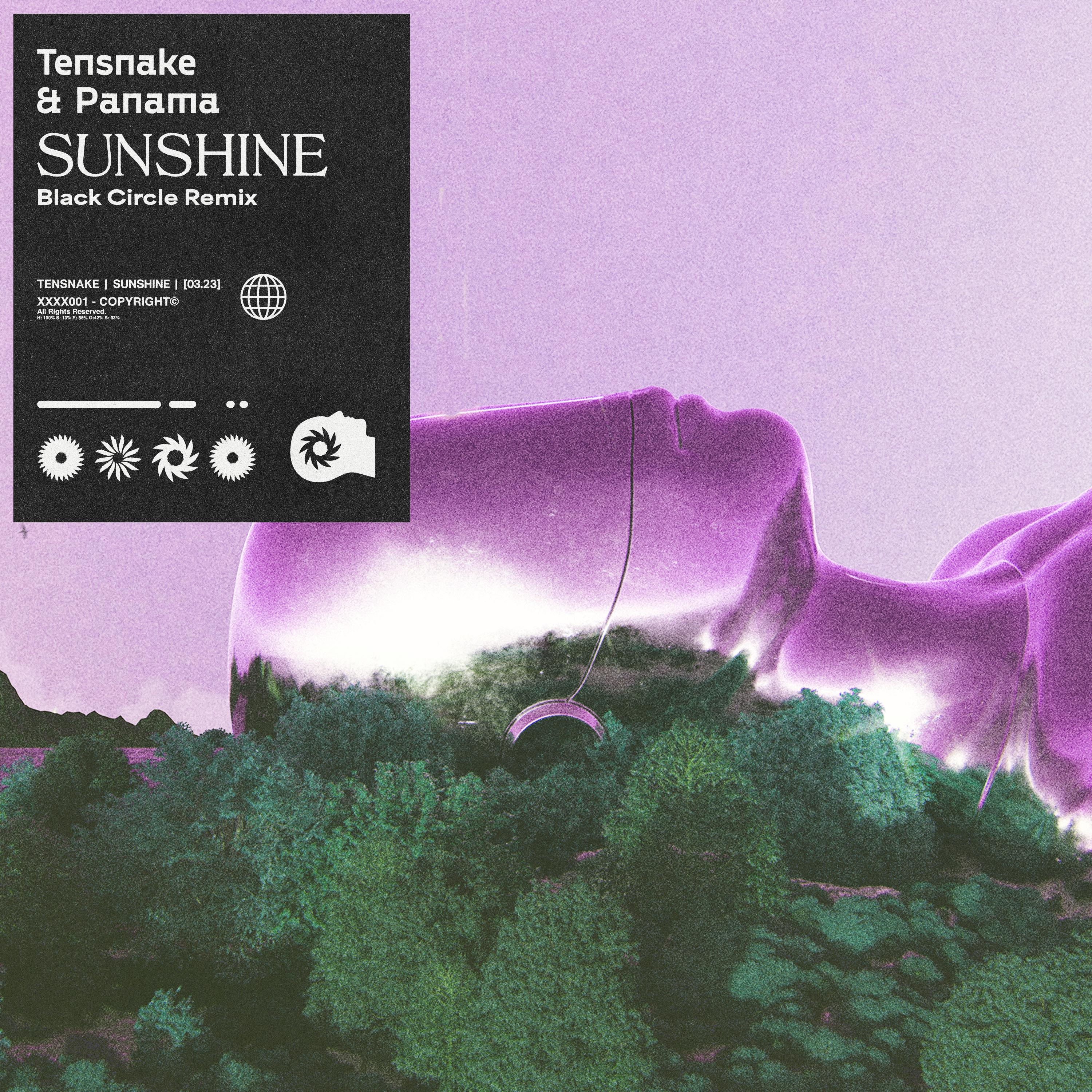 Tensnake - Sunshine (Black Circle Remix)