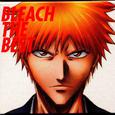 Bleach The Best