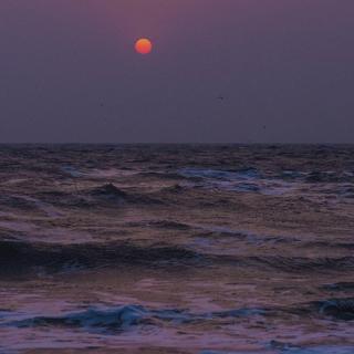 远赴人间惊鸿宴