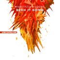 Burn It Down专辑