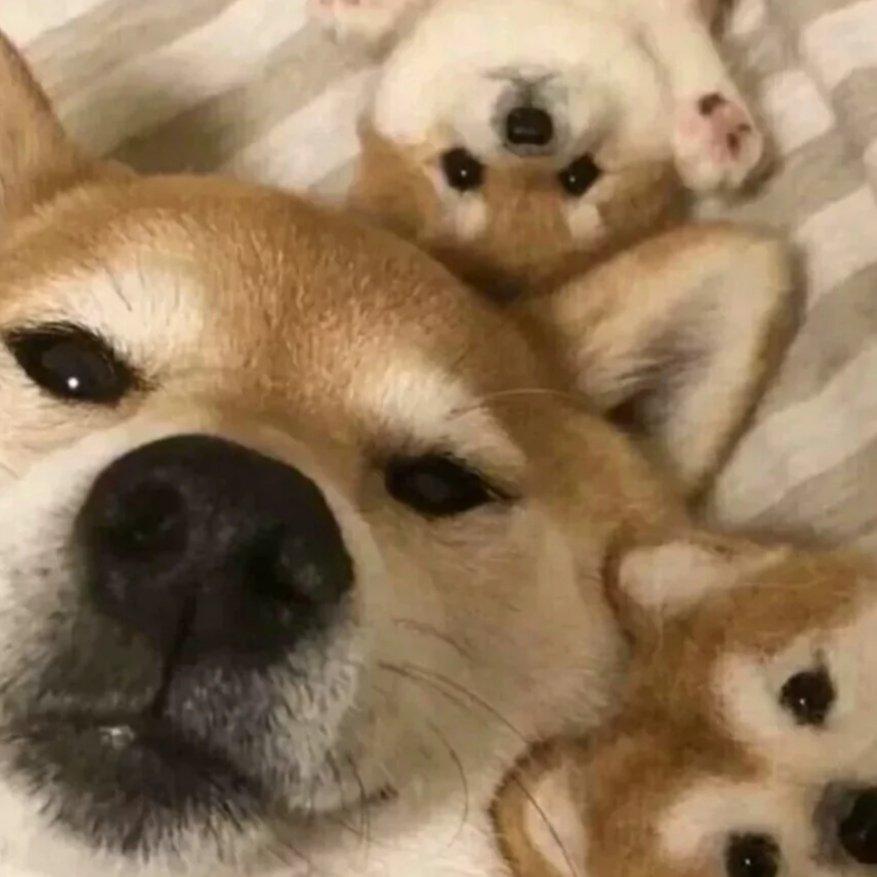 南山南我曲忧伤