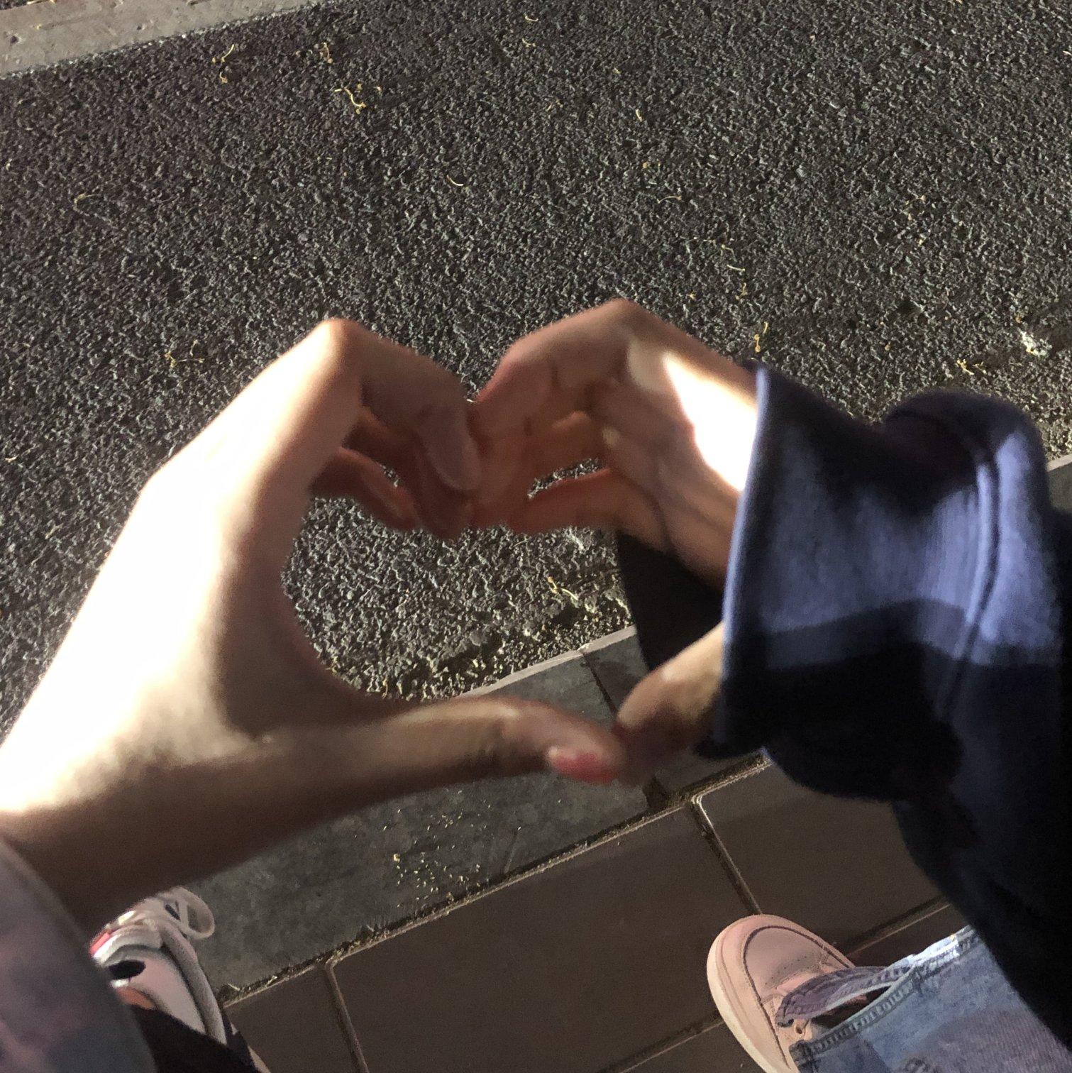 楼顶上的小斑鸠(0.8x)