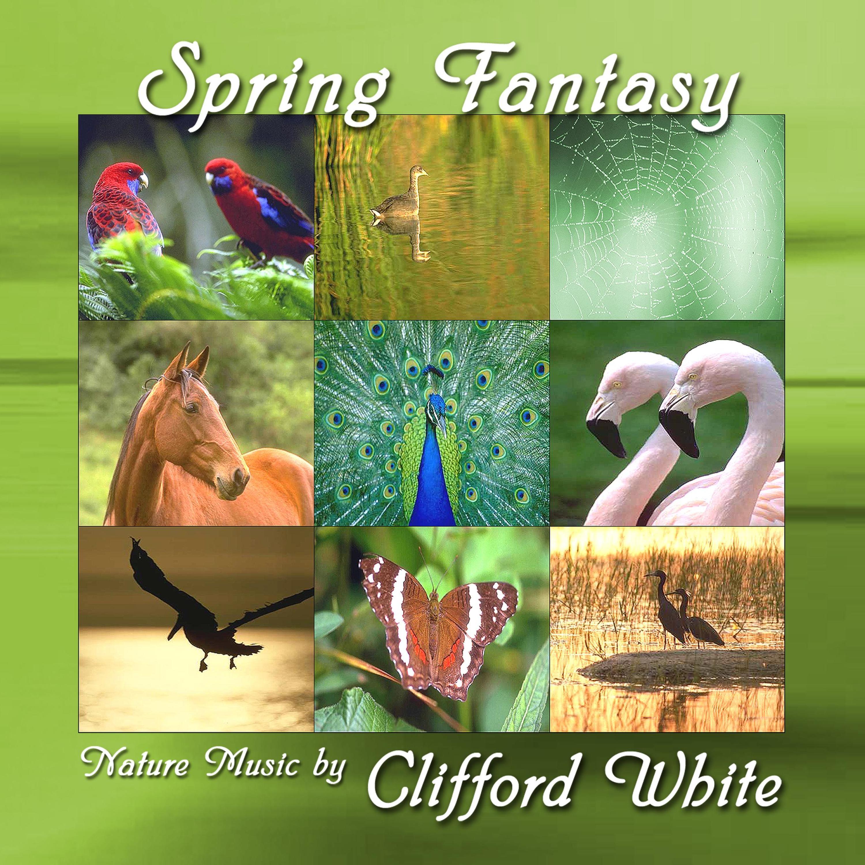 Spring Fantasy